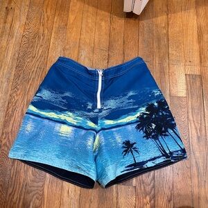 CATALINA vintage reversible swim shorts